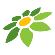 KOINSLOT